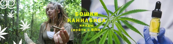 mdpv Киреевск