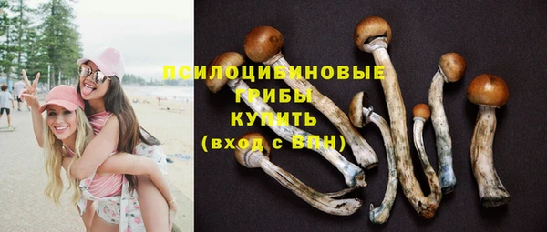 mdpv Кинешма