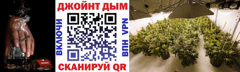 Купить закладки  Краснознаменск  Бошки Шишки гибрид 